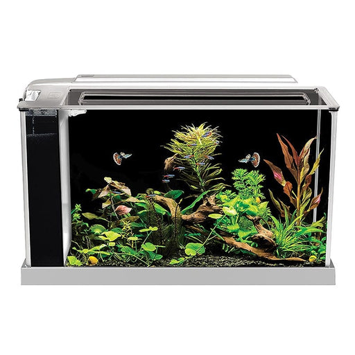 Fluval Spec 5 V2 Aquarium Kit 19L Aquatic Supplies Australia