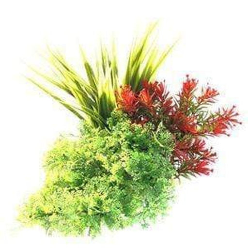 Sydeco Tropical Bouquet Green with Red 20cm Aquatic Supplies Australia