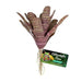 Zoo Med Chestnut Bromeliad Aquatic Supplies Australia