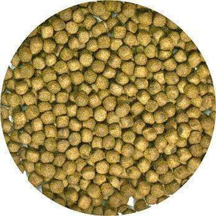 Zoo Med Natural Aquatic Turtle Food – Maintenance Formula Aquatic Supplies Australia