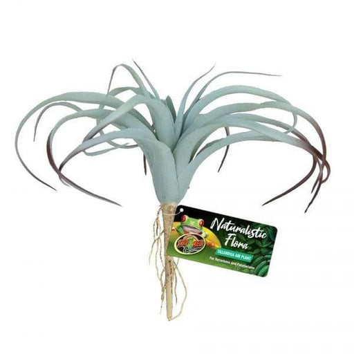 Zoo Med Tillandsia Aquatic Supplies Australia